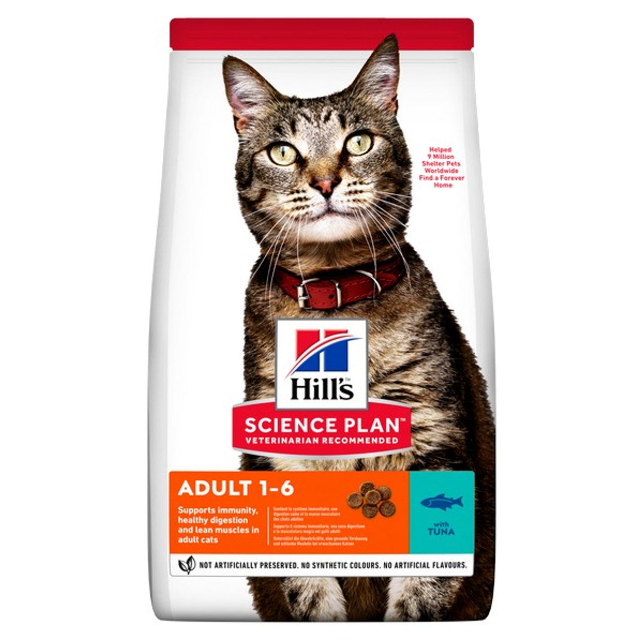 Hills Cat Food - Special Order, Price On Request